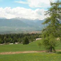 2012_05 Trentino mit NWK 049.JPG