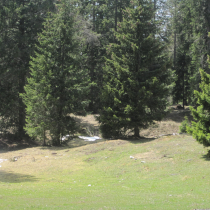 2012_05 Trentino 004.JPG